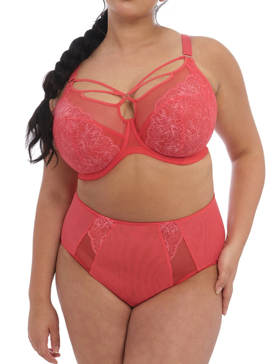 ELOMI Brianna Plunge Bra - Cayenne - Image 4