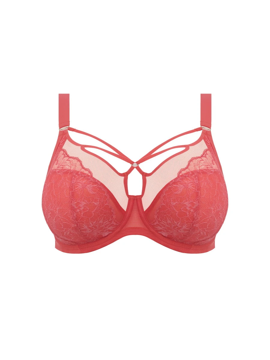 ELOMI Brianna Plunge Bra - Cayenne - Image 5