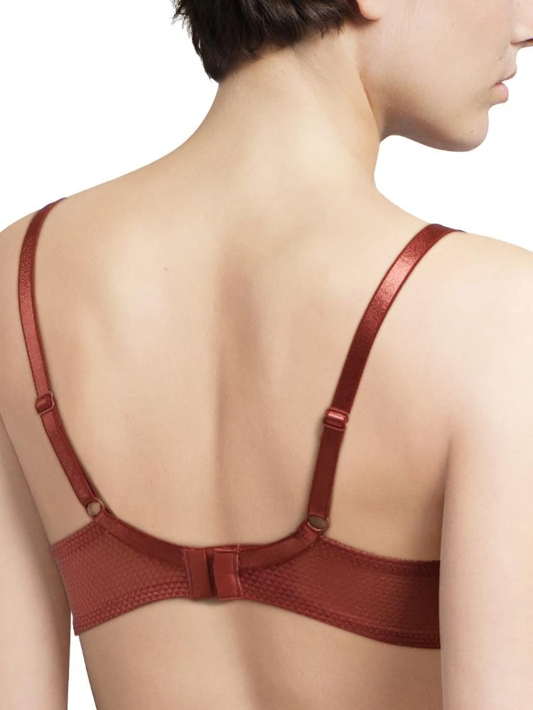 Passionata Brooklyn Plunge Bra - Amber - Image 2